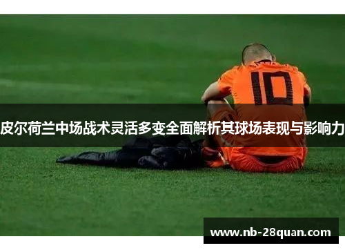 皮尔荷兰中场战术灵活多变全面解析其球场表现与影响力