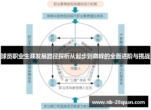球员职业生涯发展路径探析从起步到巅峰的全面进阶与挑战