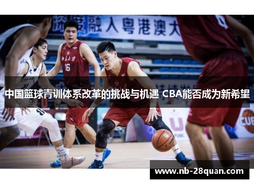 中国篮球青训体系改革的挑战与机遇 CBA能否成为新希望