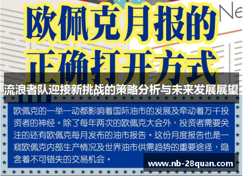 流浪者队迎接新挑战的策略分析与未来发展展望
