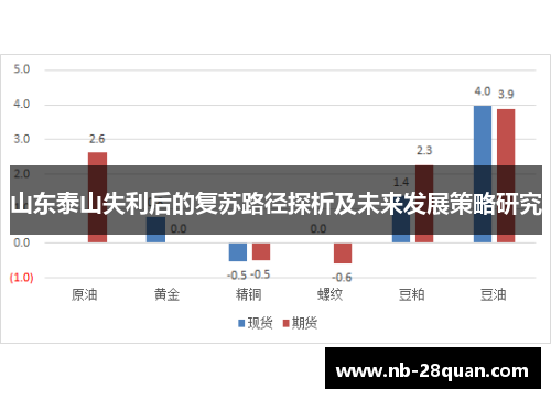 山东泰山失利后的复苏路径探析及未来发展策略研究