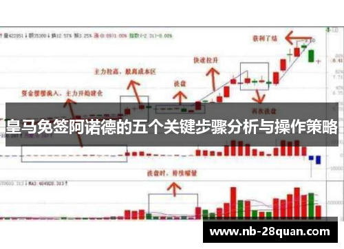 皇马免签阿诺德的五个关键步骤分析与操作策略